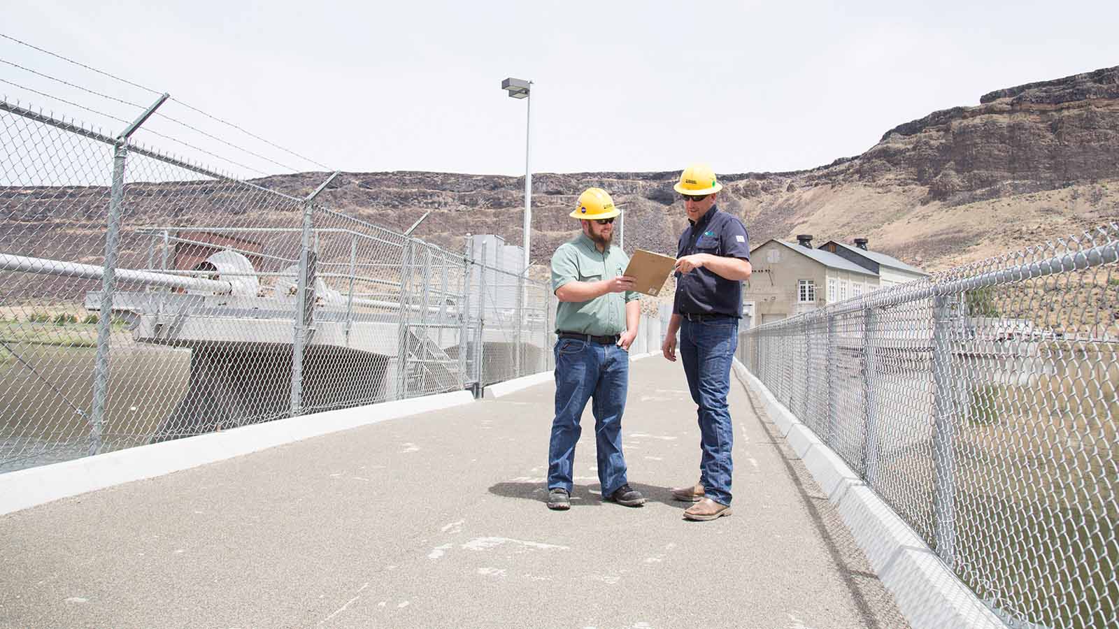 Electricity workers